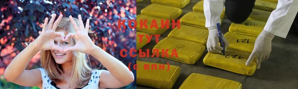 apvp Белокуриха