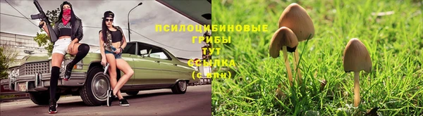 mdpv Баксан